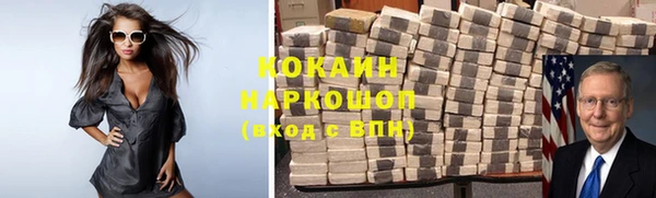 трава Богородицк