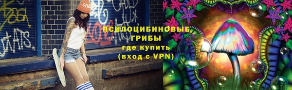 трава Богородицк