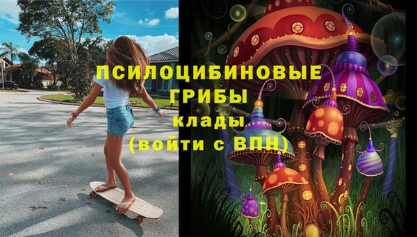 трава Богородицк
