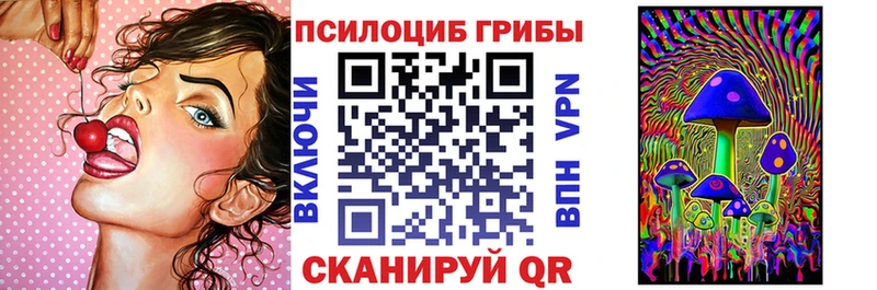 blacksprut ссылки  Котельники  Псилоцибиновые грибы мухоморы  купить закладку 